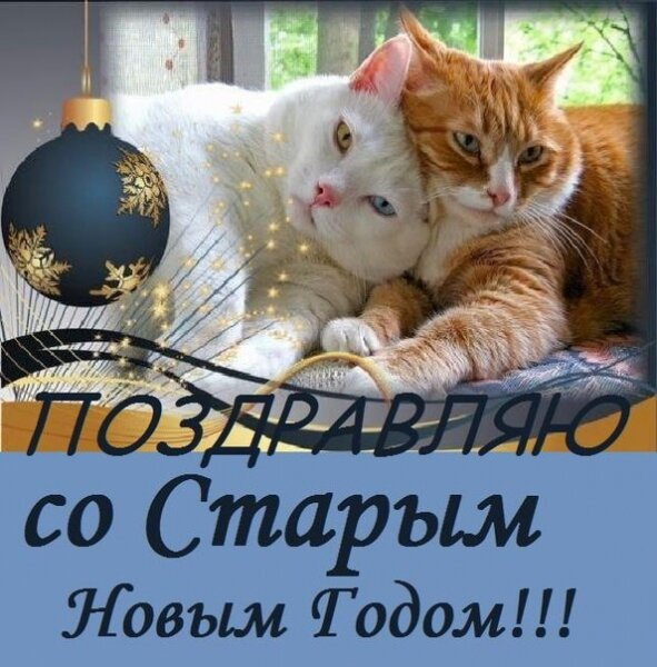 Фото с сайта https://dzen.ru/a/Y7vxZVsiYDOQ8gv_