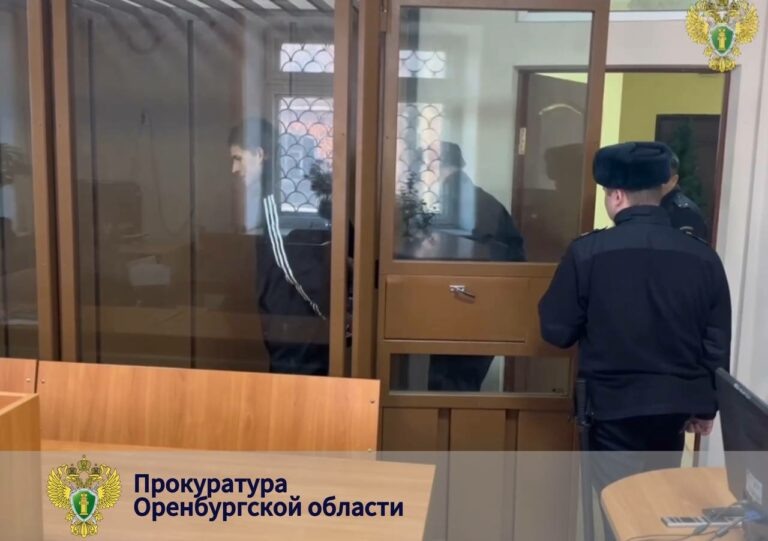    Сделка на 1,5 млн рублей. В Оренбурге будут судить горе-отца, который хотел продать сына Кристина Просвиркина