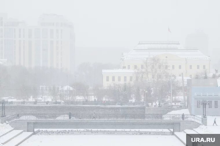 Фото: Илья Московец © URA.RU