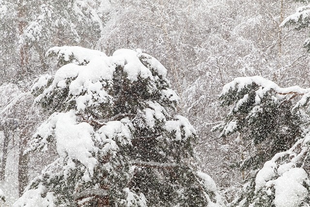    Фото: pixabay.com Илья Федоров