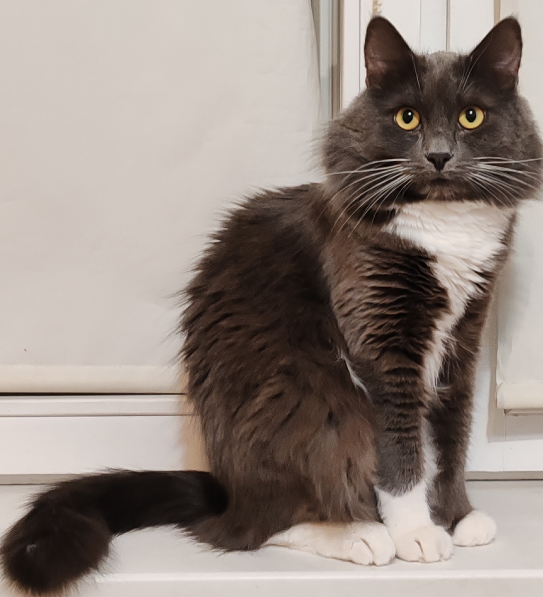 Фото автора канала. 