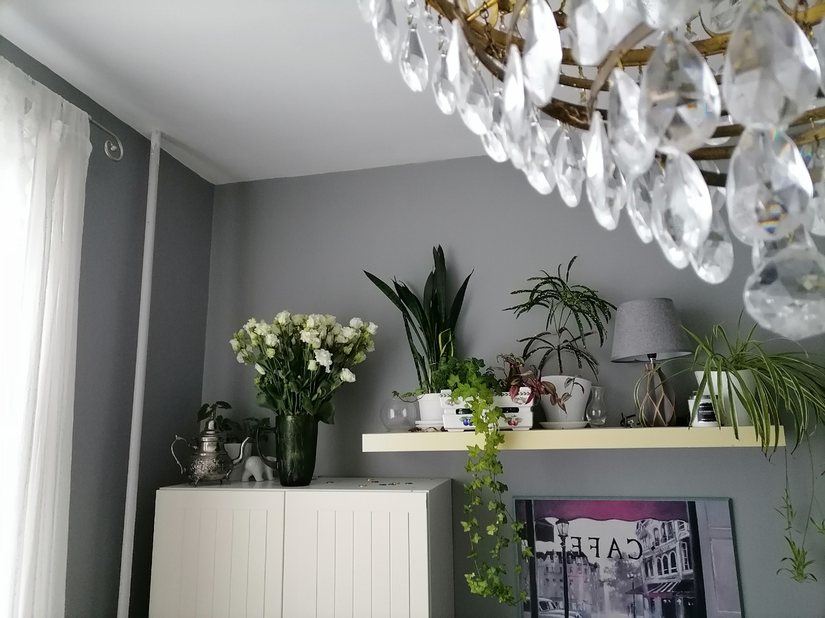 Эта часть кухни уже в моей ГАРМОНИИ! Любимая хрустальня "Шапка Маномаха" и шкафы на ножках(верхние полки). Всё стало мне удобно и красиво. 