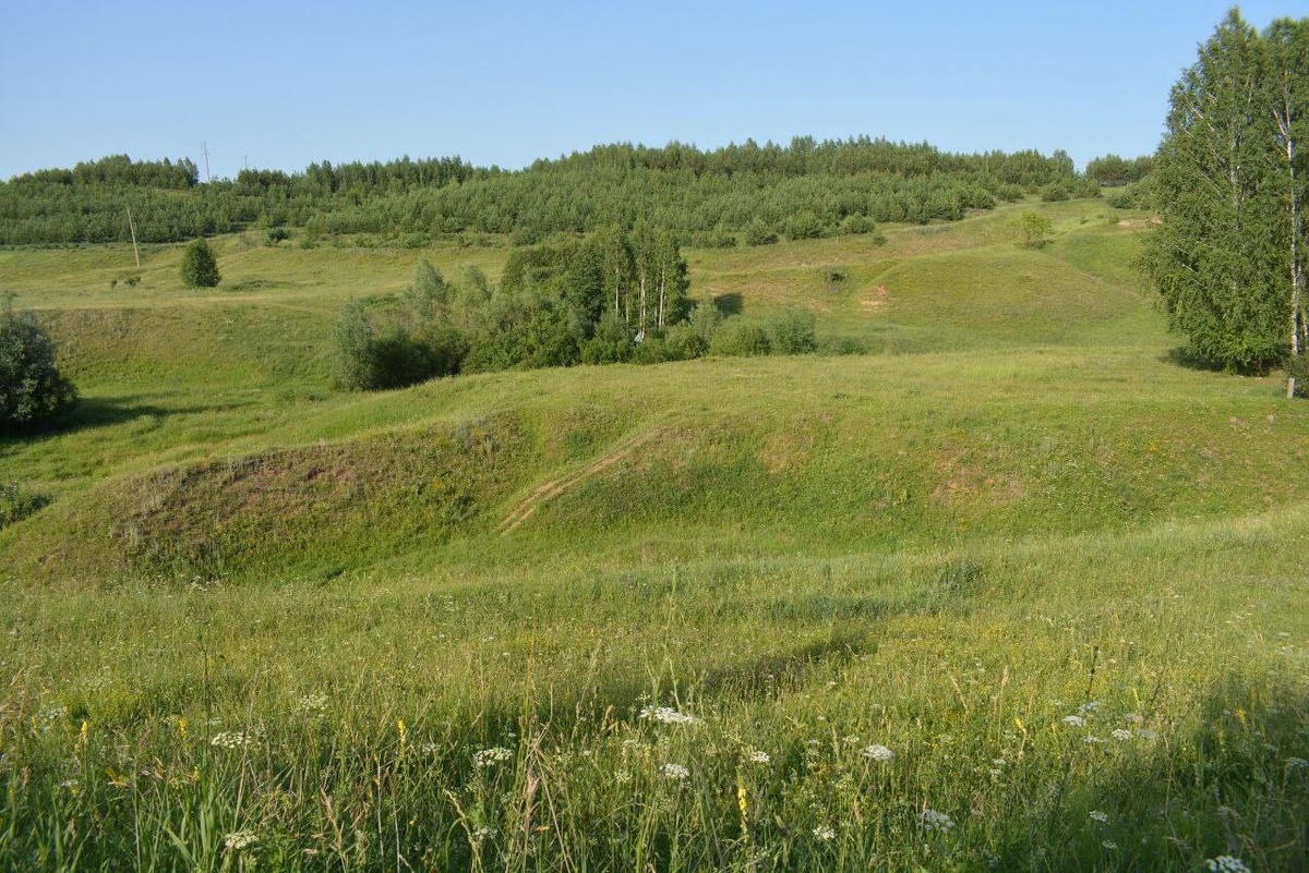 
Фото: © прелоставлено Фаридой Музиповой