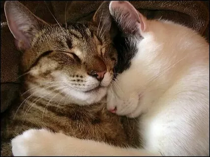 Картинка из нейросети