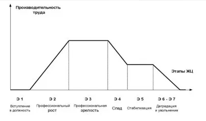 Этапы жизненного цикла работника