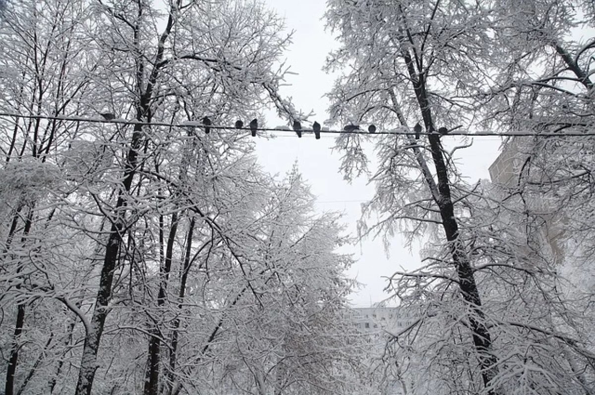    Работать над восстановлением света в Псковской области продолжаются