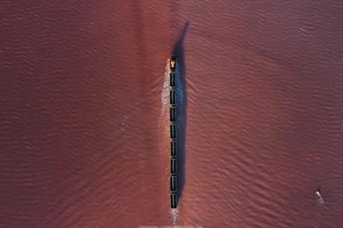    Фото иллюстративное.