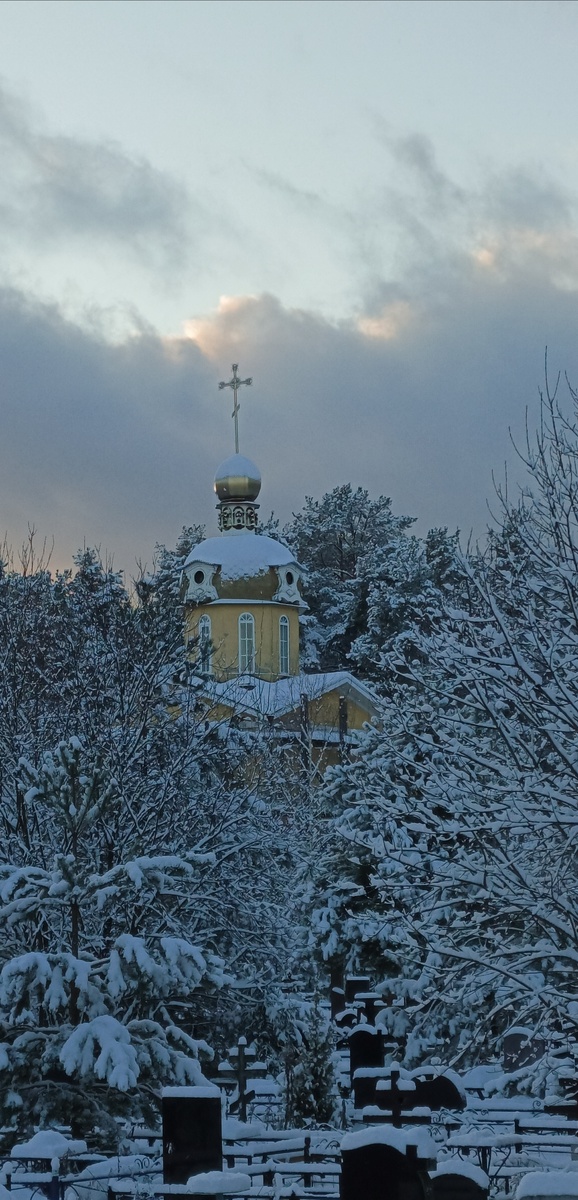 Фото мое! Сделано 31 декабря.