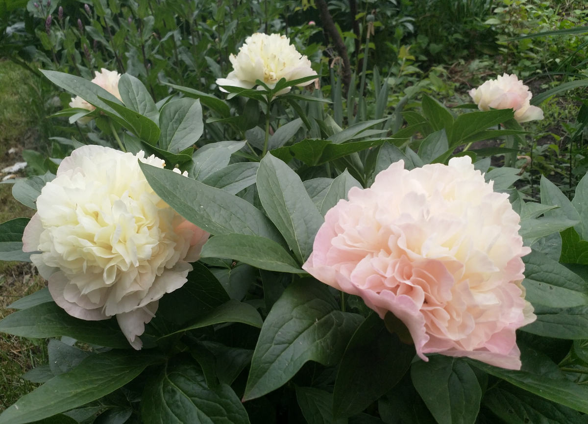 Разве можно пройти мимо?