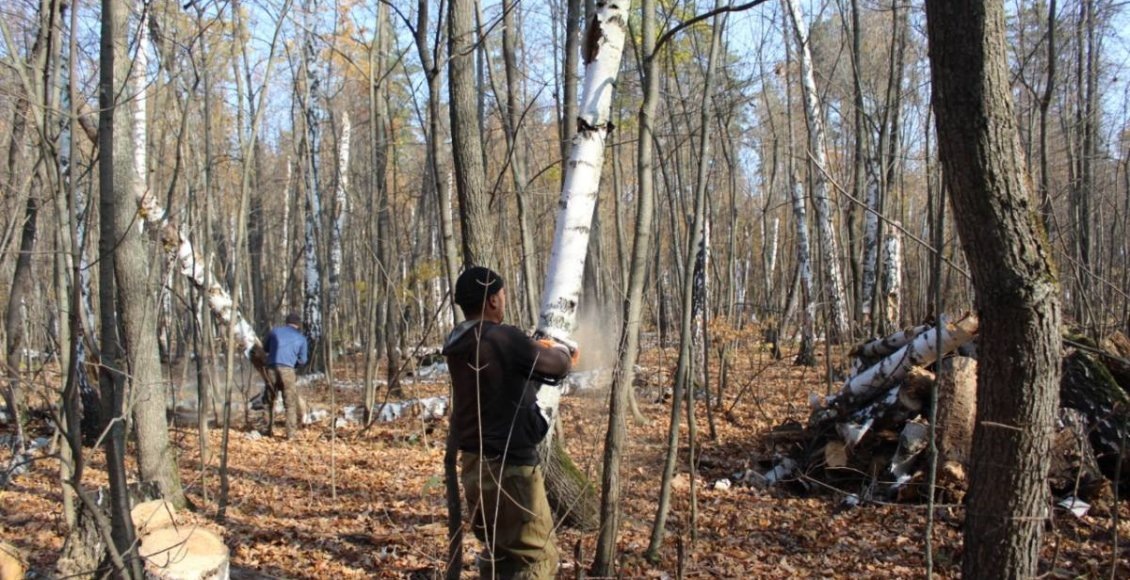    Фото: samara.er.ru