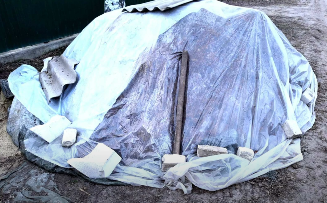 какаой навоз использовать на грядках