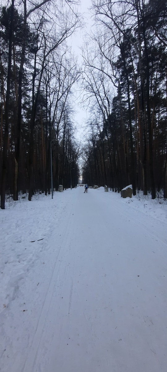 Наш парк в 10.30. Вот такая она уральская зимушка!