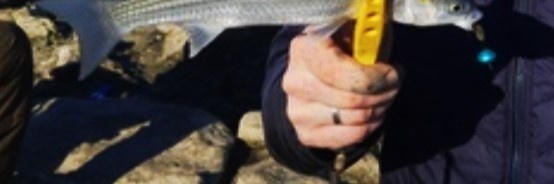 фрагмент фото с крымского форума