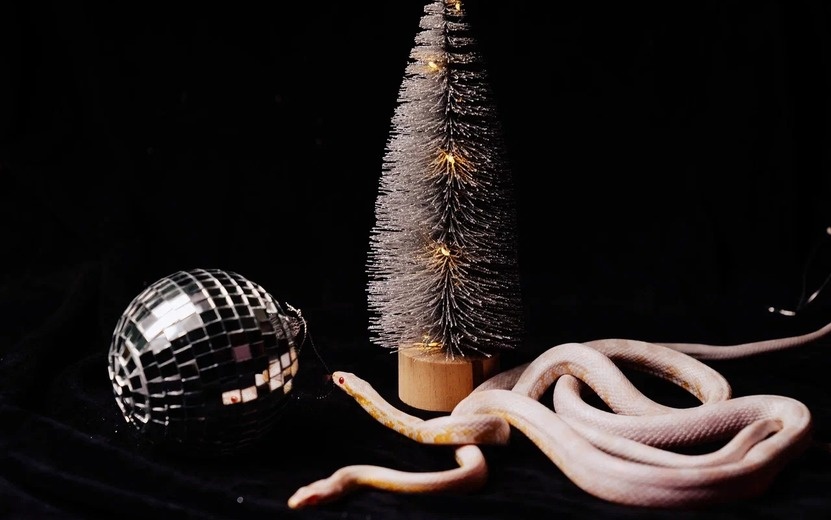    Гороскоп на 15 января: в жизнь каких знаков Зодиака придут перемены?