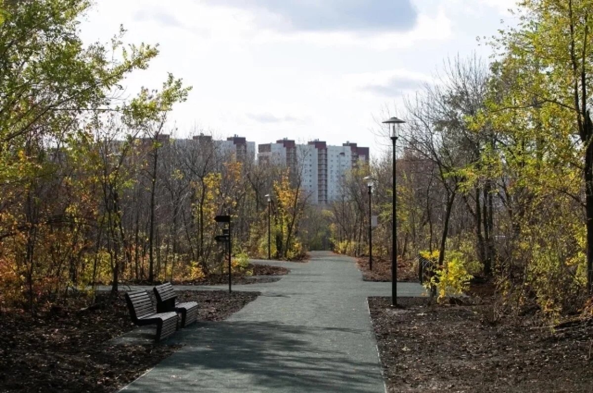    В Оренбурге вандалы повредили входную группу парка «Березка»