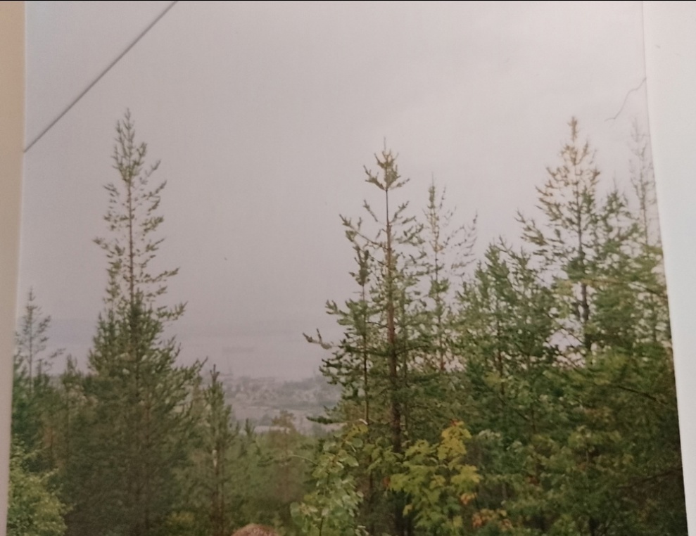 Фото из 2003 г