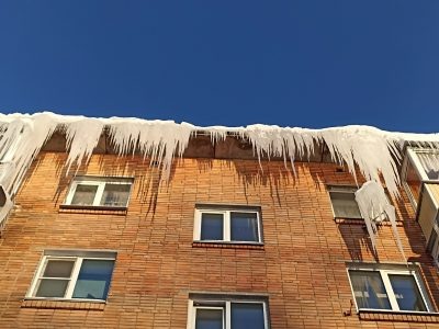    Фото: Светлана Прохорова