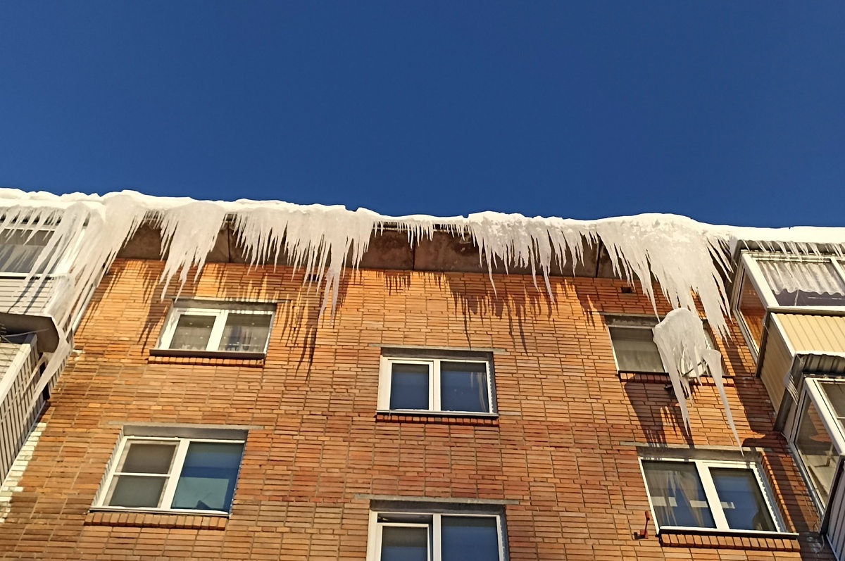    Фото: Светлана Прохорова