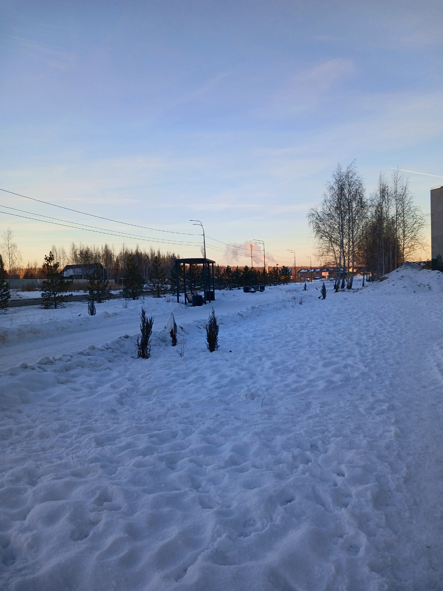 "Доброе утро, мир! Ты прекрасен!" Фото автора