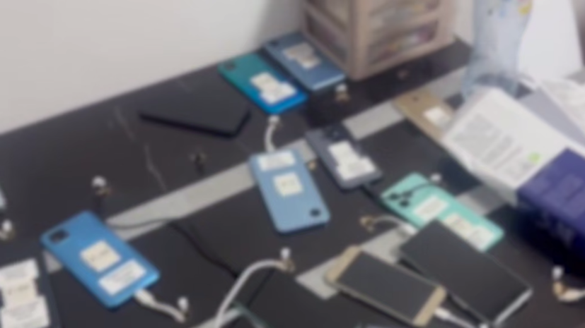    Официальный представитель МВД России Ирина Волк