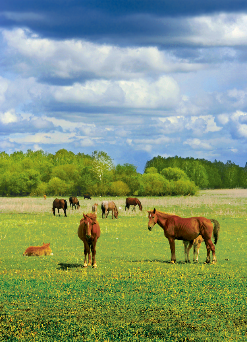 Фотография, стихотворение Василия Глуцкого