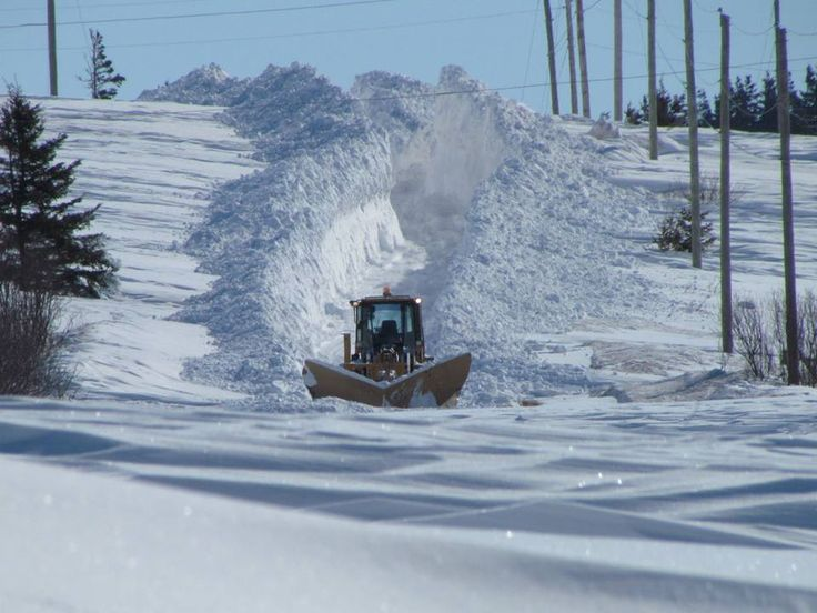 яндекс картинки