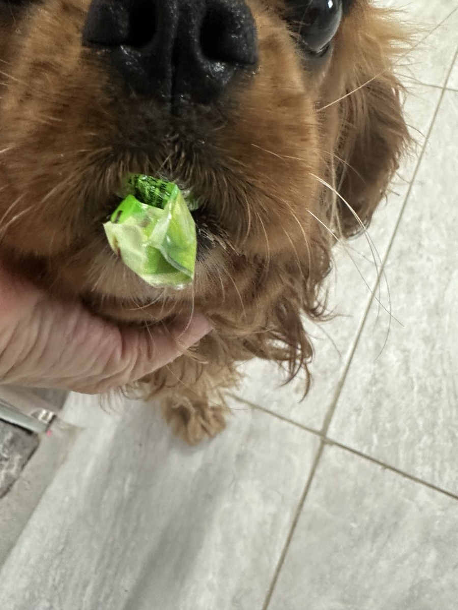 Конфету украл, делает вид, что мне нёс.