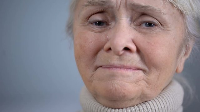 Фото Яндекс картинки.