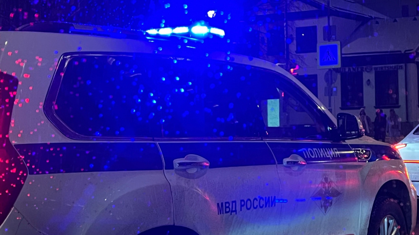    Фото: © РИА Новости/Наталья Селиверстова