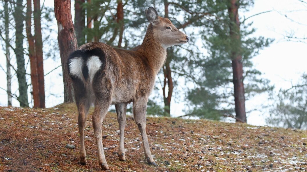    фото: Shatokhina Natalya/news.ru/Globallookpress