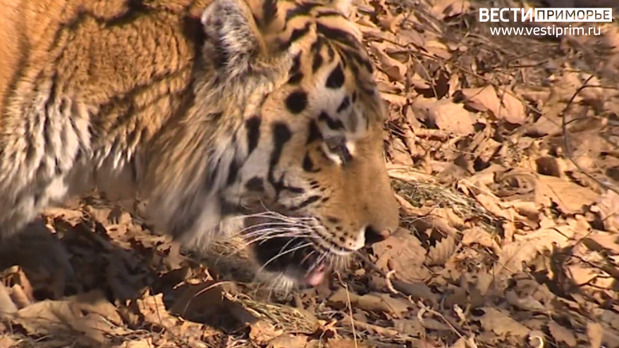    Источник фото: