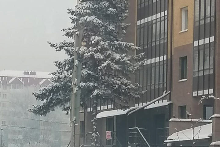 Фото:читатели ИА "Хакасия"
