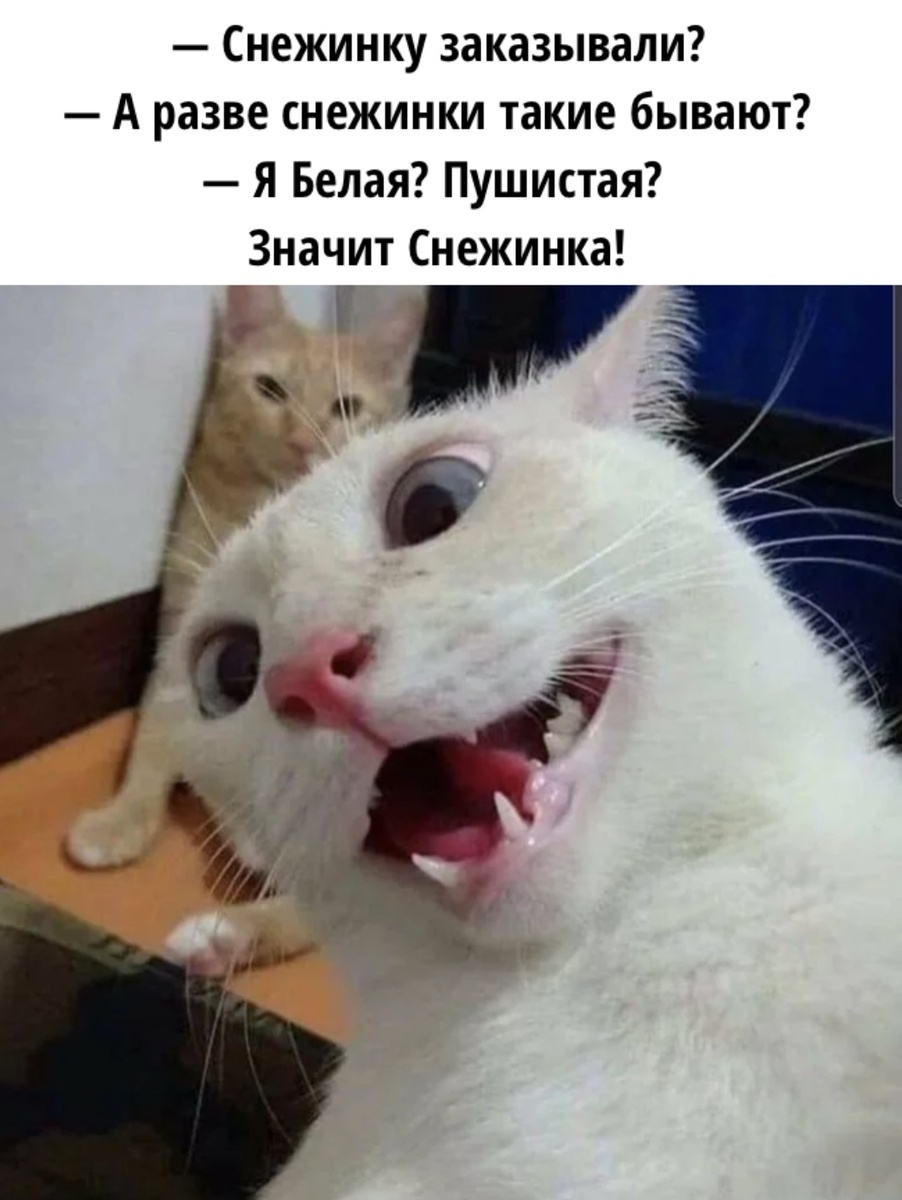 Картинку сделала сама