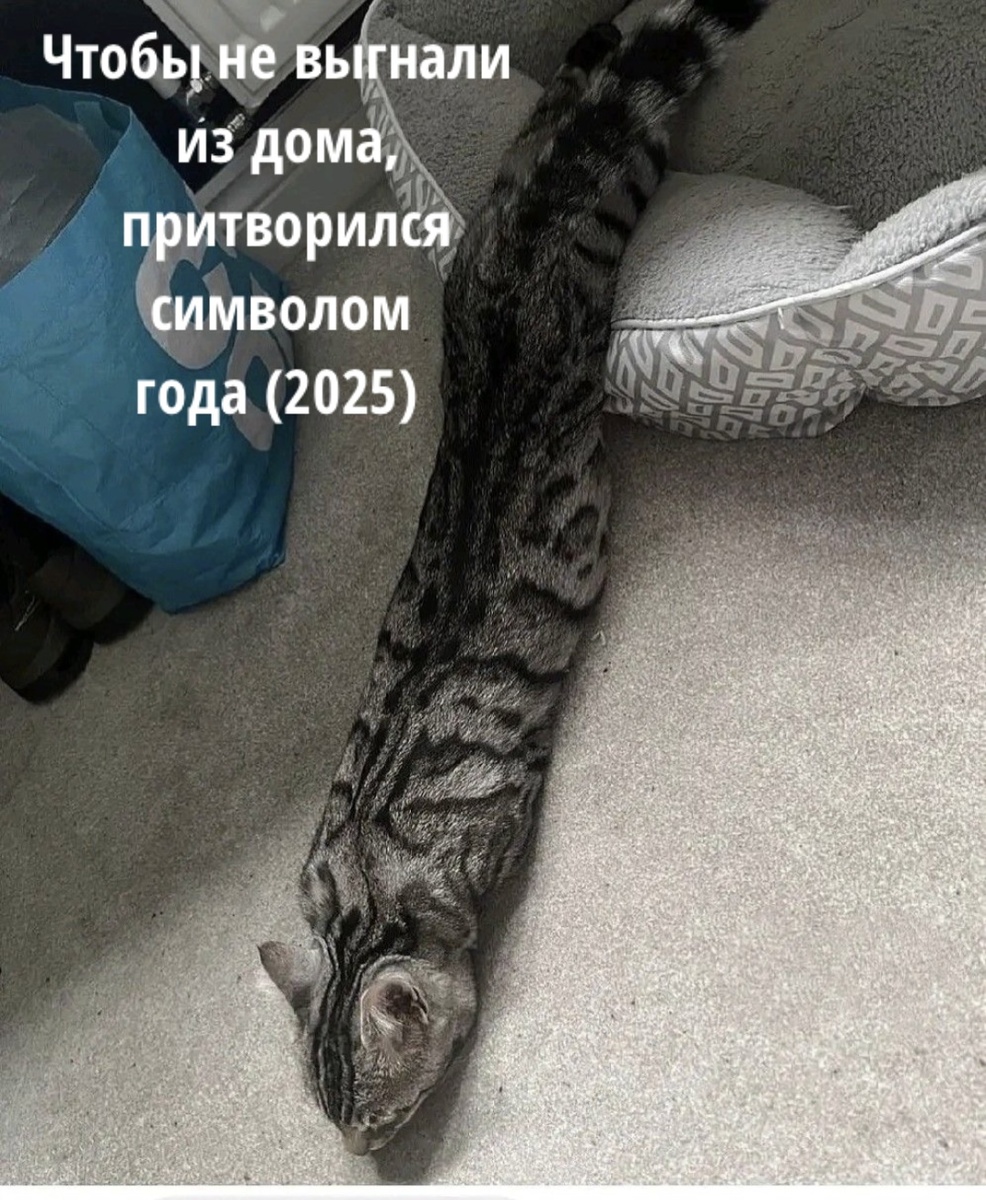 Картинку сделала сама