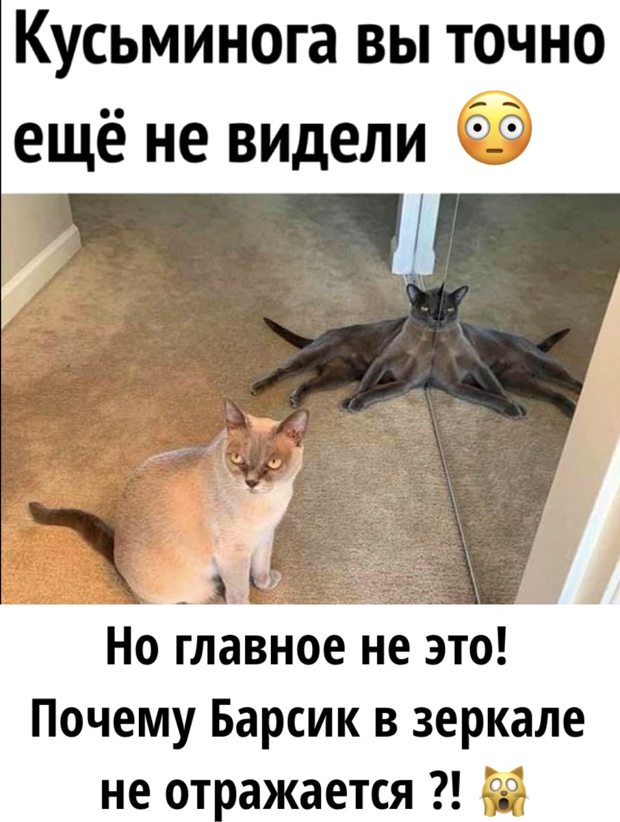 Картинку сделала сама