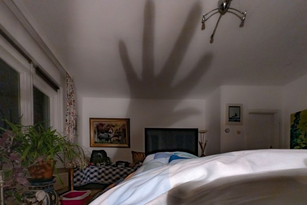 Фото: dpa/picture-alliance