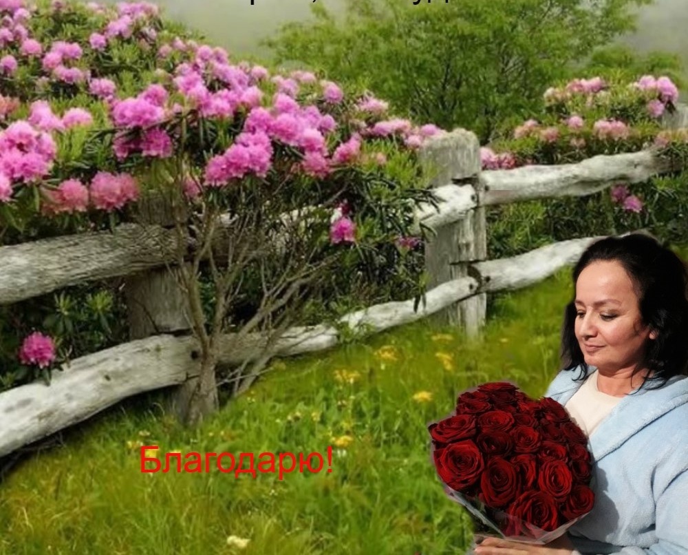 Бадзиева Л. М./ L- Badziti