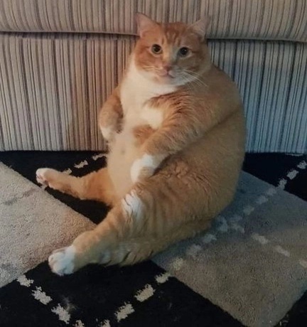 иллюстрация из яндекс картинки.