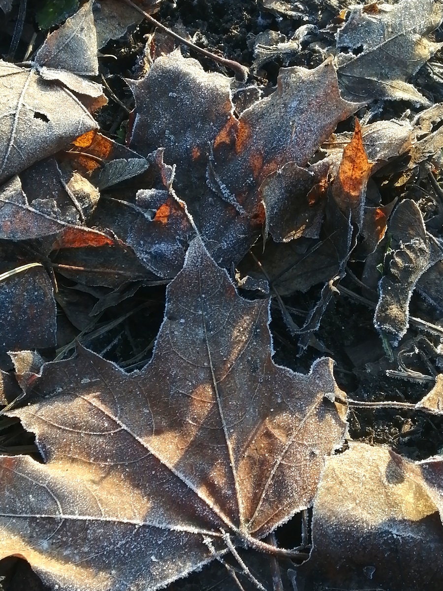 Фото из личного архива автора 