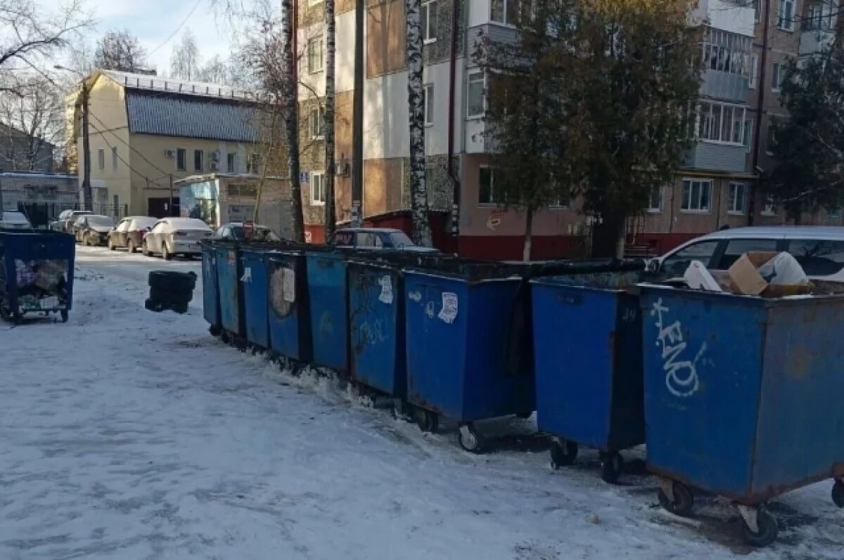    В Брянске навели порядок на контейнерных площадках