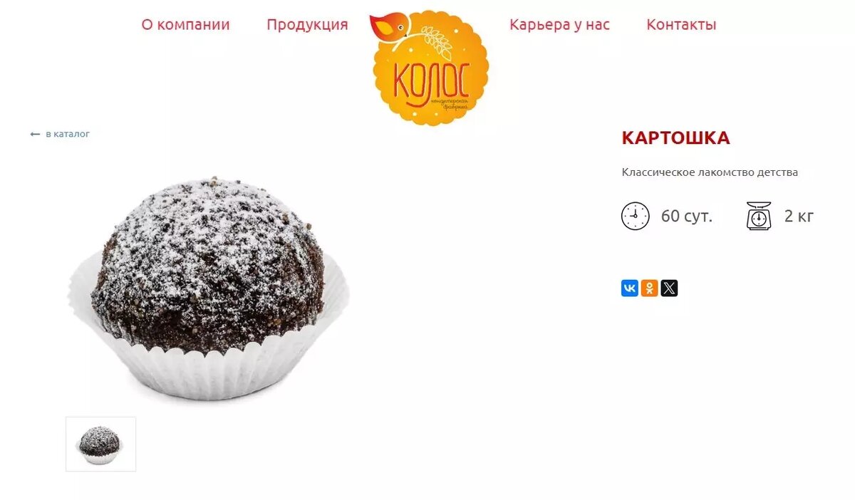     Источник: скриншот kolos-chel.ru