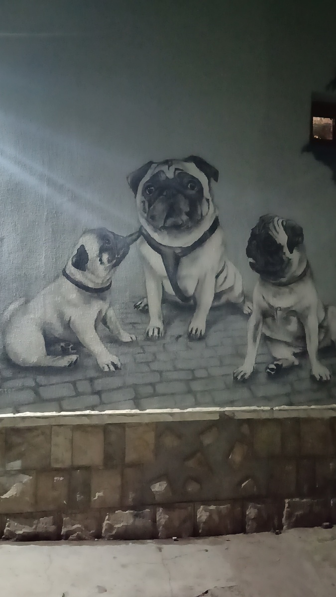 Интересное граффити где-то в Ялте