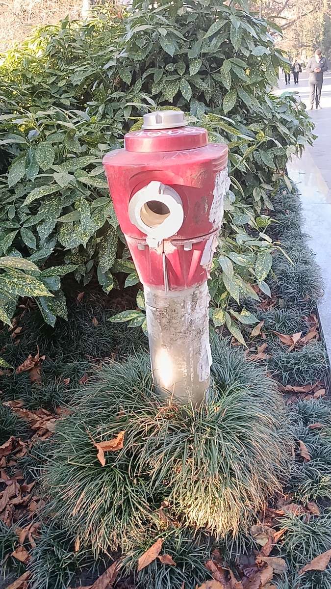 Пожарный гидрант, никогда не видела таких. А в вашем городе есть такие? 