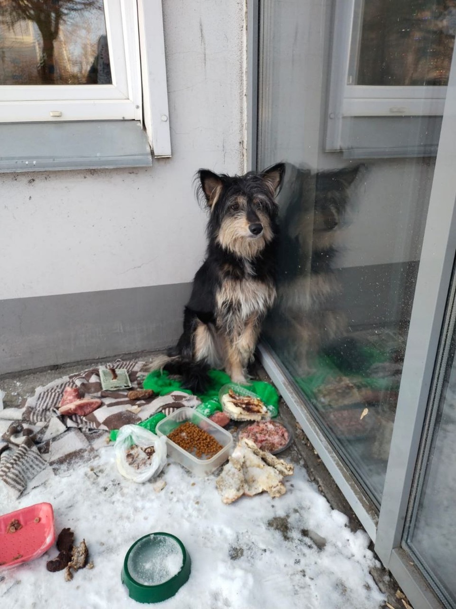     Фото: sibnovosti.ru