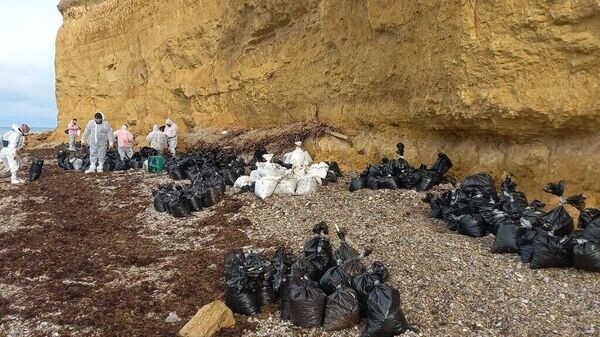    © Telegram Михаил Развожаев