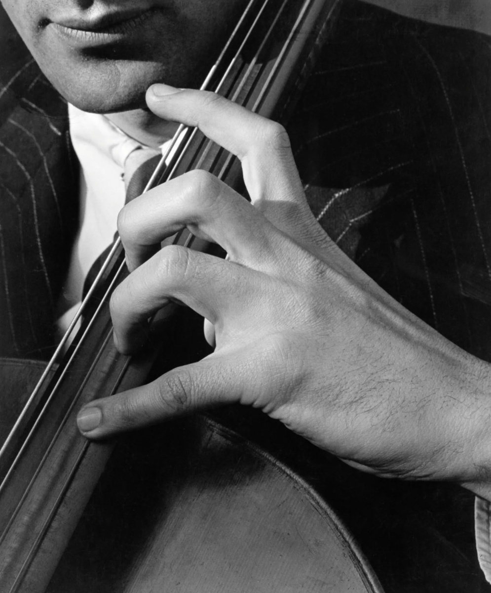 Фото из яндекса