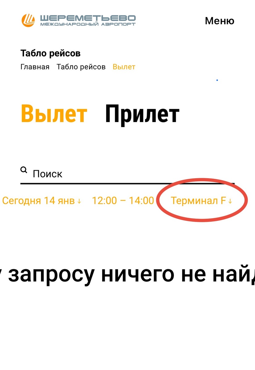 Сайт аэропорта "выдаёт" ответ на запрос рейсов терминала F.  