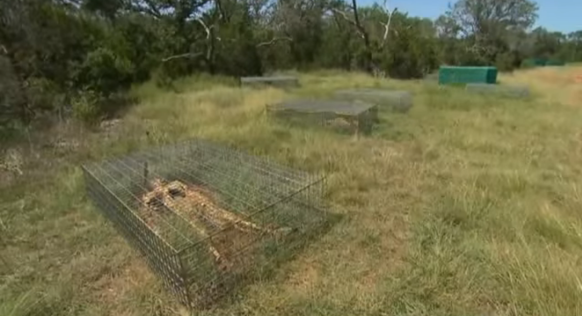 Источник https://dtjew9b6f6zyn.cloudfront.net/wp-content/uploads/2017/01/Screen-Shot-2017-01-18-at-11.10.43-AM-e1484755988470.png