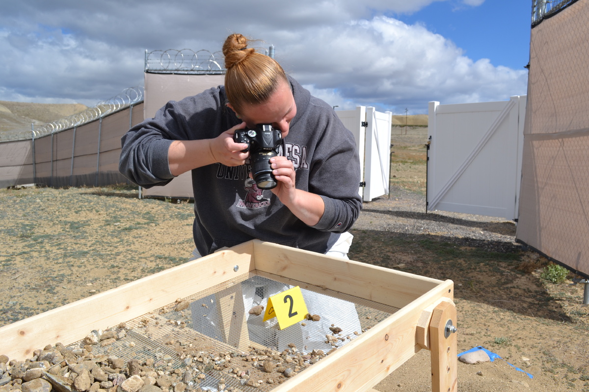 Источник https://wp-cpr.s3.amazonaws.com/uploads/2019/05/student_pic.jpg?resize=1200,600