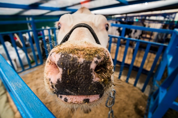    Фото Андрея Заржецкого